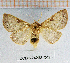  ( - CCDB-24268-C02)  @11 [ ] CreativeCommons  Attribution Non-Commercial Share-Alike (2016) Cristian Sitar Unspecified