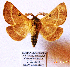  ( - CCDB-24268-D02)  @11 [ ] CreativeCommons  Attribution Non-Commercial Share-Alike (2016) Cristian Sitar Unspecified