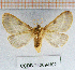  ( - CCDB-24269-H02)  @11 [ ] CreativeCommons  Attribution Non-Commercial Share-Alike (2016) Cristian Sitar Unspecified