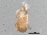  ( - BIOUG21899-A11)  @12 [ ] CreativeCommons - Attribution (2015) CBG Photography Group Centre for Biodiversity Genomics