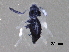  ( - BIOUG20566-B11)  @12 [ ] CreativeCommons - Attribution (2016) CBG Photography Group Centre for Biodiversity Genomics