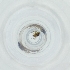  ( - RRHP_029_B9)  @11 [ ] by  Genome Research Ltd as Wellcome Sanger Institute Genome Research Limited operating as Wellcome Sanger Institute