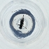  ( - RRHP_030_B9)  @11 [ ] by  Genome Research Ltd as Wellcome Sanger Institute Genome Research Limited operating as Wellcome Sanger Institute