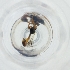  ( - RRHP_030_C6)  @11 [ ] by  Genome Research Ltd as Wellcome Sanger Institute Genome Research Limited operating as Wellcome Sanger Institute