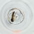  ( - RRHP_030_H11)  @11 [ ] by  Genome Research Ltd as Wellcome Sanger Institute Genome Research Limited operating as Wellcome Sanger Institute