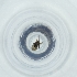  ( - RRHP_031_B3)  @11 [ ] by  Genome Research Ltd as Wellcome Sanger Institute Genome Research Limited operating as Wellcome Sanger Institute