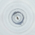  ( - RRHP_031_F10)  @11 [ ] by  Genome Research Ltd as Wellcome Sanger Institute Genome Research Limited operating as Wellcome Sanger Institute