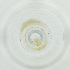  ( - RRHP_039_E11)  @11 [ ] by  Genome Research Ltd as Wellcome Sanger Institute Genome Research Limited operating as Wellcome Sanger Institute