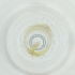  ( - RRHP_039_H7)  @11 [ ] by  Genome Research Ltd as Wellcome Sanger Institute Genome Research Limited operating as Wellcome Sanger Institute