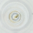  ( - RRHP_040_A1)  @11 [ ] by  Genome Research Ltd as Wellcome Sanger Institute Genome Research Limited operating as Wellcome Sanger Institute