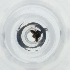  ( - RRHP_042_D9)  @11 [ ] by  Genome Research Ltd as Wellcome Sanger Institute Genome Research Limited operating as Wellcome Sanger Institute
