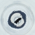  ( - RRHP_043_E5)  @11 [ ] by  Genome Research Ltd as Wellcome Sanger Institute Genome Research Limited operating as Wellcome Sanger Institute