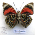  ( - BC-GSRR003)  @11 [ ] CCby (2024) Gilles Séraphin Research collection of Gilles Séraphin