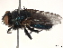  ( - BIOUG21607-B03)  @11 [ ] CreativeCommons - Attribution (2021) CBG Photography Group Centre for Biodiversity Genomics