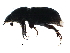  ( - BIOUG22325-B12)  @13 [ ] CreativeCommons - Attribution (2016) CBG Photography Group Centre for Biodiversity Genomics