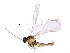  ( - BIOUG22419-G12)  @13 [ ] CreativeCommons - Attribution (2015) CBG Photography Group Centre for Biodiversity Genomics