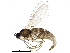  ( - BIOUG22459-A03)  @14 [ ] CreativeCommons - Attribution (2015) CBG Photography Group Centre for Biodiversity Genomics