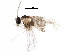  ( - BIOUG22731-B08)  @13 [ ] CreativeCommons - Attribution (2015) CBG Photography Group Centre for Biodiversity Genomics