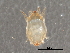  ( - BIOUG23322-F12)  @13 [ ] CreativeCommons - Attribution (2015) CBG Photography Group Centre for Biodiversity Genomics