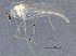  ( - BIOUG22237-E12)  @13 [ ] CreativeCommons - Attribution (2015) CBG Photography Group Centre for Biodiversity Genomics
