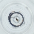 ( - RRNW_105_C3)  @11 [ ] by (2023) Genome Research Ltd as Wellcome Sanger Institute Genome Research Limited operating as Wellcome Sanger Institute