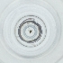  ( - RRNW_110_B5)  @11 [ ] by (2023) Genome Research Ltd as Wellcome Sanger Institute Genome Research Limited operating as Wellcome Sanger Institute