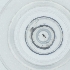  (Thienemanniella clavicornis - RRNW_142_B4)  @11 [ ] by  Genome Research Ltd as Wellcome Sanger Institute Genome Research Limited operating as Wellcome Sanger Institute