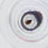  ( - RRNW_161_G10)  @11 [ ] by  Genome Research Ltd as Wellcome Sanger Institute Genome Research Limited operating as Wellcome Sanger Institute