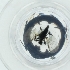  ( - RRNW_165_B5)  @11 [ ] by  Genome Research Ltd as Wellcome Sanger Institute Genome Research Limited operating as Wellcome Sanger Institute