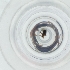  ( - RRNW_165_E9)  @11 [ ] by  Genome Research Ltd as Wellcome Sanger Institute Genome Research Limited operating as Wellcome Sanger Institute