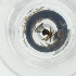  ( - RRNW_174_B9)  @11 [ ] by  Genome Research Ltd as Wellcome Sanger Institute Genome Research Limited operating as Wellcome Sanger Institute