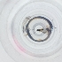  ( - RRNW_175_F11)  @11 [ ] by  Genome Research Ltd as Wellcome Sanger Institute Genome Research Limited operating as Wellcome Sanger Institute
