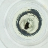  ( - RRNW_178_G3)  @11 [ ] by  Genome Research Ltd as Wellcome Sanger Institute Genome Research Limited operating as Wellcome Sanger Institute