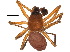  ( - BIOUG20597-D10)  @14 [ ] CreativeCommons - Attribution (2015) CBG Photography Group Centre for Biodiversity Genomics