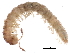  ( - BIOUG24160-G06)  @14 [ ] CreativeCommons - Attribution (2016) CBG Photography Group Centre for Biodiversity Genomics