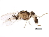  ( - BIOUG24293-D09)  @14 [ ] CreativeCommons - Attribution (2015) CBG Photography Group Centre for Biodiversity Genomics
