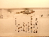  ( - RAM_BEBO_037)  @11 [ ] Unspecified (default): All Rights Reserved  Unspecified Unspecified