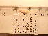  ( - RAM_BEBO_041)  @11 [ ] Unspecified (default): All Rights Reserved  Unspecified Unspecified