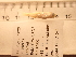  ( - RAM_BEBO_042)  @11 [ ] Unspecified (default): All Rights Reserved  Unspecified Unspecified