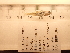  ( - RAM_BEBO_046)  @11 [ ] Unspecified (default): All Rights Reserved  Unspecified Unspecified