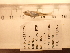  ( - RAM_BEBO_055)  @11 [ ] Unspecified (default): All Rights Reserved  Unspecified Unspecified