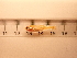  ( - RAM_BEBO_041)  @11 [ ] Unspecified (default): All Rights Reserved  Unspecified Unspecified