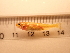  ( - RAM_BEBO_042)  @11 [ ] Unspecified (default): All Rights Reserved  Unspecified Unspecified