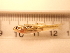  ( - RAM_BEBO_046)  @11 [ ] Unspecified (default): All Rights Reserved  Unspecified Unspecified