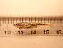  ( - RAM_BEBO_055)  @11 [ ] Unspecified (default): All Rights Reserved  Unspecified Unspecified