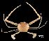  ( - RSS0001)  @11 [ ] CreativeCommons - Attribution Non-Commercial Share-Alike (2016) Vassiliy Spiridonov P.P. Shirshov Institute of Oceanology, Moscov