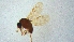 ( - RURN7)  @11 [ ] Copyright (2024) Unspecified Ramkhamhaeng University