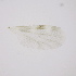  ( - RUNK24)  @11 [ ] Copyright (2024) Unspecified Ramkhamhaeng University