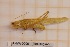  ( - ANVA-0005)  @11 [ ] CreativeCommons - Attribution Non-Commercial Share-Alike (2018) Heikki Roininen University of Eastern Finland