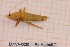  ( - ANVA-0020)  @11 [ ] CreativeCommons - Attribution Non-Commercial Share-Alike (2018) Heikki Roininen University of Eastern Finland